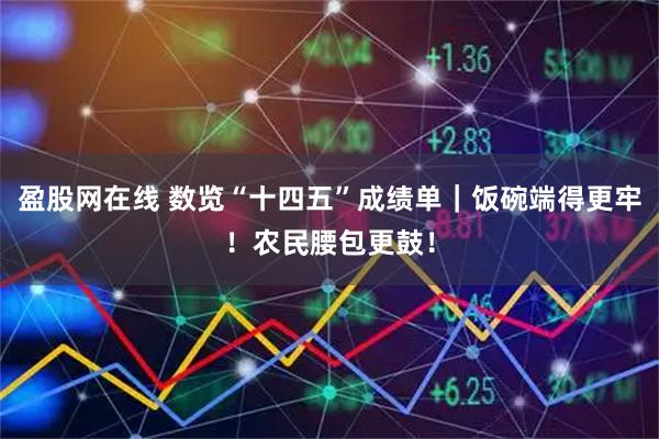 盈股网在线 数览“十四五”成绩单｜饭碗端得更牢！农民腰包更鼓！