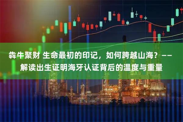 犇牛聚财 生命最初的印记，如何跨越山海？—— 解读出生证明海牙认证背后的温度与重量